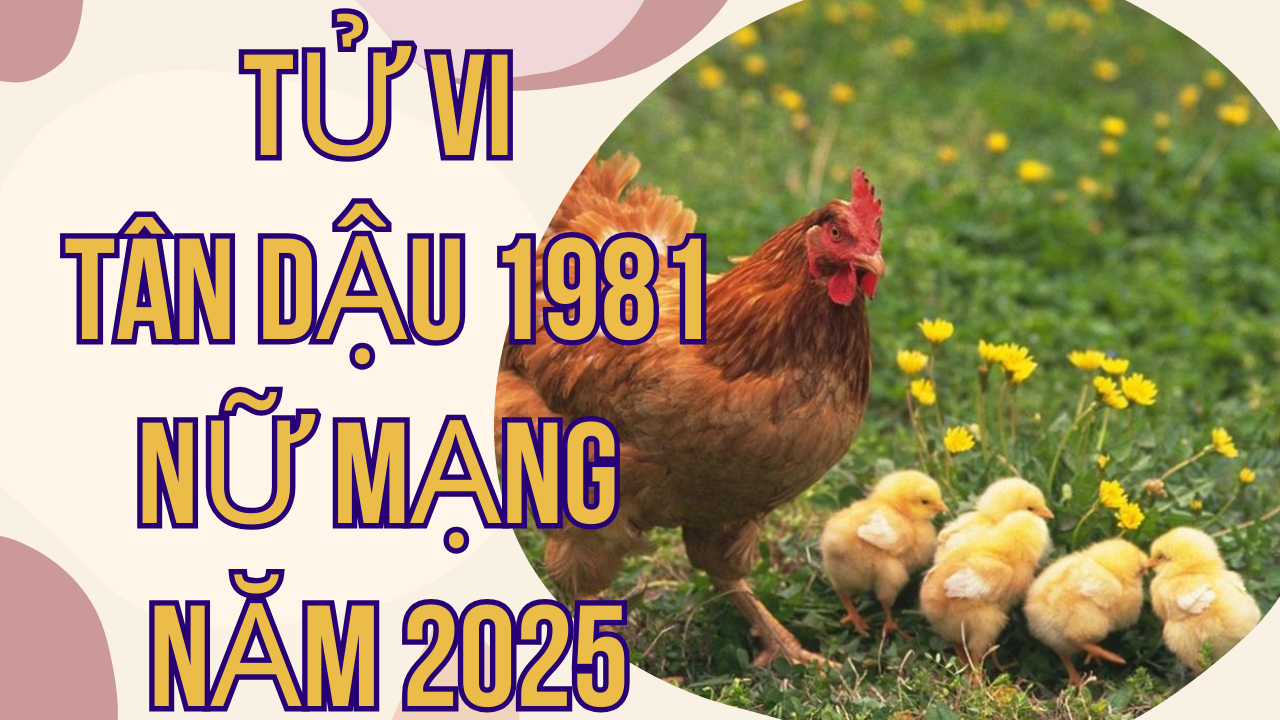 Tử Vi Tân Dậu 1981 Nữ Mạng Năm 2025: Dự Báo Chi Tiết Cuộc Sống Và Vận Hạn