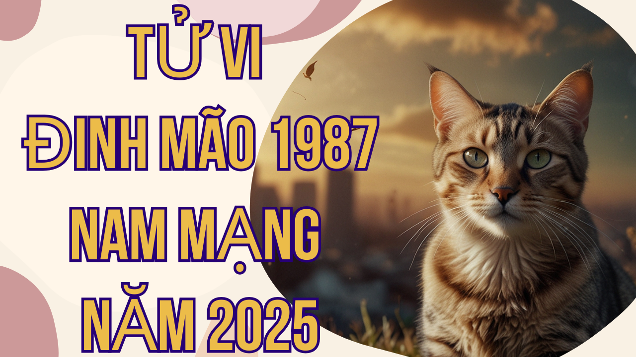 Tử vi Đinh Mão 1987 nam mạng năm 2025: Dự đoán chi tiết và chuẩn xác