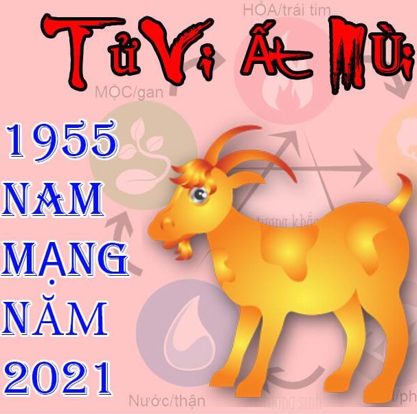 Tử vi tuổi ất mùi 1955 nam mạng trong năm 2021 có thuận lợi và khó khăn gì