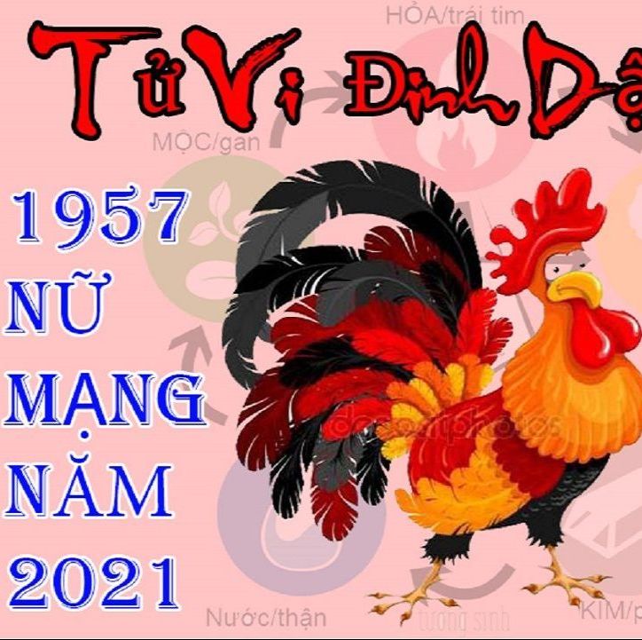 Xem tử vi tuổi Đinh Dậu 1957 năm 2021 nữ mạng