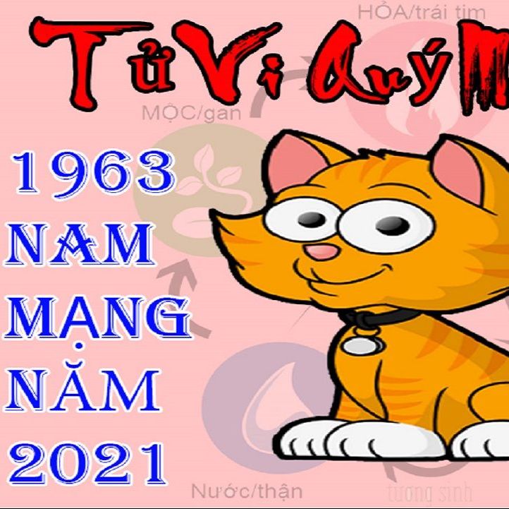 Tử vi tuổi Quý Mão 1963 năm 2021 nam mạng