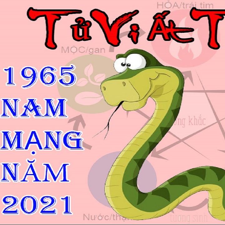 Tử vi tuổi Ất Tỵ 1965 năm 2021 nam mạng