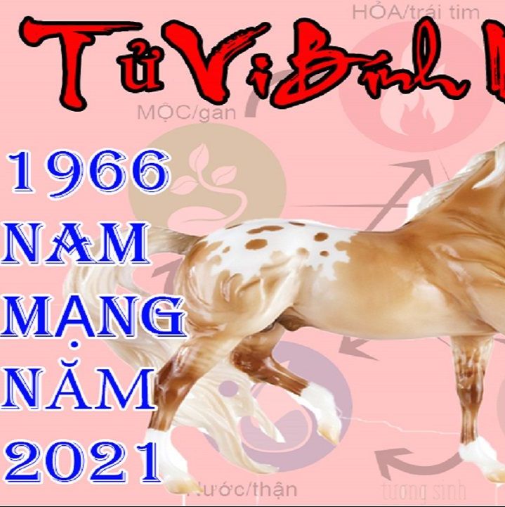 Vận mệnh tuổi Bính Ngọ 1966 năm 2021 nam mạng