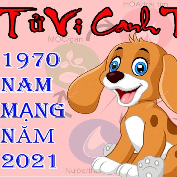 Tử vi tuổi Canh Tuất 1970 năm 2021 nam mạng