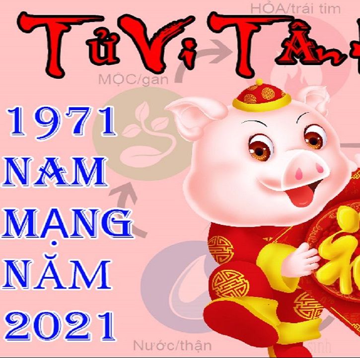 Tử vi tuổi Tân Hợi 1971 năm 2021 Nam mạng