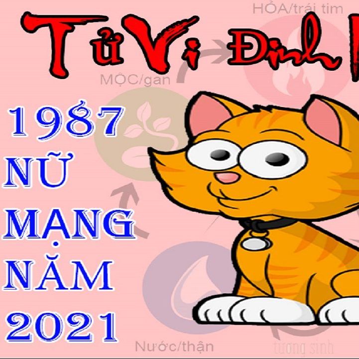 Tử vi tuổi Đinh Mão 1987 năm 2021 nữ mạng