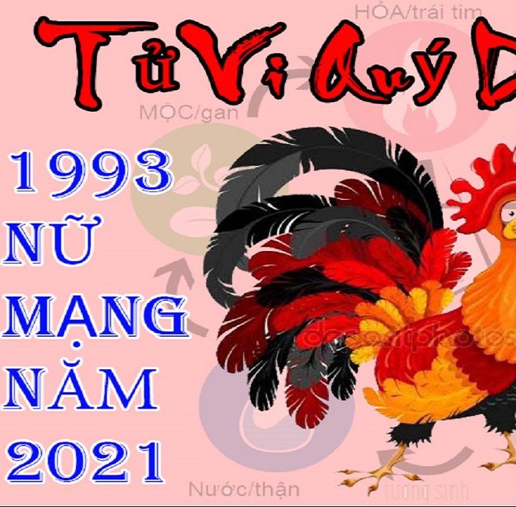 Tử vi tuổi Quý Dậu 1993 năm 2021 nữ mạng