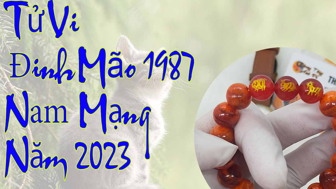 Tử vi tuổi Đinh Mão 1987 nam mạng năm 2023