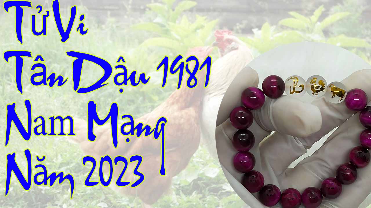 Tử vi tuổi Dậu 1981 năm 2023 nam mạng